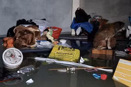 Toàn cảnh Đà Nẵng ngập lụt chưa từng thấy, dân không kịp trở tay