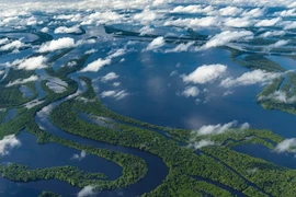 Dài 6.400km, vì sao không có cây cầu nào bắc qua sông Amazon?