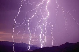  Đi cắt cỏ, bị sét đánh tử vong 