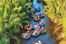 Lặng ngắm khu "rừng cổ tích" giữa lòng thành phố di sản Hội An