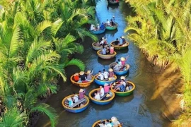 Lặng ngắm khu "rừng cổ tích" giữa lòng thành phố di sản Hội An