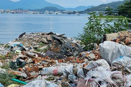 Vịnh Mân Quang nhếch nhác, bị bủa vây bởi đủ loại rác 
