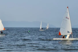 Toàn cảnh đội Thuyền buồm quốc gia luyện tập trên vịnh Đà Nẵng