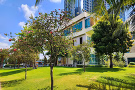 Những mảng xanh giúp TP HCM giải nhiệt trong mùa nắng nóng