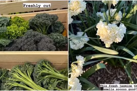  Kim Kardashian khoe khu vườn xa hoa ở sân sau biệt thự 