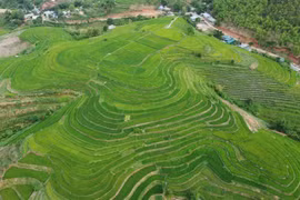 Chiêm ngưỡng những thửa ruộng bậc thang tuyệt đẹp xứ Thanh