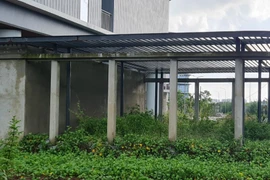 Đà Nẵng: Hoang tàn công viên phần mềm nghìn tỷ