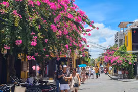 Mê mẩn giàn hoa giấy, sử quân tử ở “thị trấn đẹp nhất thế giới“