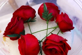 Làm giàu với bí kíp biến hoa tươi thành “bất tử” 