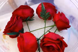 Làm giàu với bí kíp biến hoa tươi thành “bất tử” 