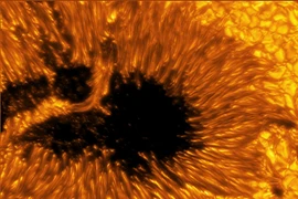Các bức ảnh chụp vết đen Mặt Trời cho thấy dòng plasma