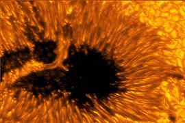Các bức ảnh chụp vết đen Mặt Trời cho thấy dòng plasma