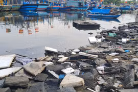 Đà Nẵng: Mướt mồ hôi dọn rác quanh Âu thuyền Thọ Quang