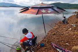 Thú đi câu ở hồ nhân tạo lớn nhất nhì Việt Nam