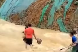 Người dân đổ xô bắt cá trên đường sau trận mưa lớn