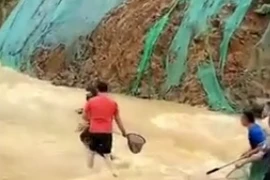 Người dân đổ xô bắt cá trên đường sau trận mưa lớn