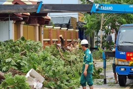 Đà Nẵng cấp tập dọn dẹp sau bão Noru