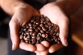 Uống cà phê trước khi tập luyện, lợi ích bất ngờ 