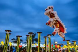 Đến đất võ Quy Nhơn, xem đấu Lân Sư Rồng