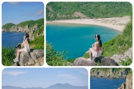 Xứ hoa vàng trên cỏ xanh vào mùa đẹp nhất trong năm