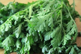 Những người không nên ăn rau cải cúc 