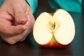 Quả táo cực tốt, nhưng đừng dại nhai hạt kẻo mang họa vào thân
