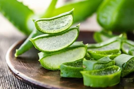 5 hậu quả đáng tiếc nếu sử dụng nha đam hàng ngày 