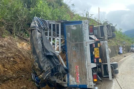 Quảng Nam: Xe tải mất lái lao vào taluy, 2 người kẹt trong cabin