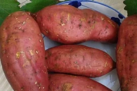 4 loạit thực phẩm ăn hàng ngày giúp phòng ngừa ung thư