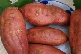 4 loạit thực phẩm ăn hàng ngày giúp phòng ngừa ung thư