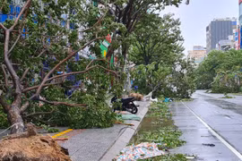 Cận cảnh TP Đà Nẵng khi siêu bão Noru quét qua