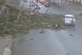 Khoảnh khắc cây đa cổ thụ gãy nhánh, đè trúng người đi xe máy