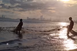 Cận cảnh kéo lưới trên bãi biển Đà Nẵng lúc bình minh