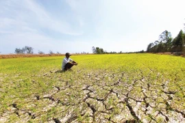 Thủ tướng chỉ đạo ứng phó đợt xâm nhập mặn cao điểm tại ĐBSCL