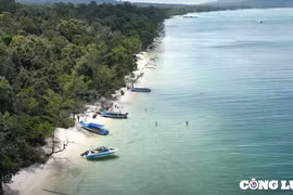 Phú Quốc: Đến làng chài Rạch Vẹm, lạc vào vương quốc của sao biển