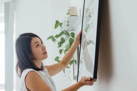 7 nguyên tắc cơ bản khi tự trang trí nhà