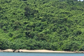 Bãi Cát Vàng - Thiên đường biển hoang sơ dưới chân núi Khỉ