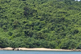 Bãi Cát Vàng - Thiên đường biển hoang sơ dưới chân núi Khỉ