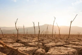 Trái Đất sẽ ra sao nếu không có mưa trong 100 năm?