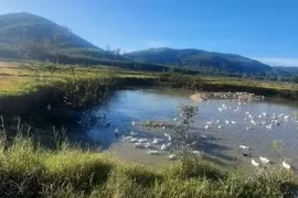 Quảng Ngãi: Một học sinh đuối nước sau buổi đến trường chuẩn bị khai giảng