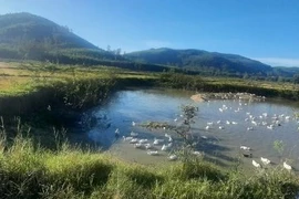 Quảng Ngãi: Một học sinh đuối nước sau buổi đến trường chuẩn bị khai giảng