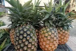 Nắng nóng, các loại trái cây giải nhiệt đang tăng giá tốt