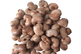 Chi 10.700 tỷ đồng mua loại hạt từ Châu Phi về Việt Nam