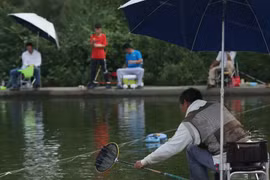 Hái ra tiền nhờ “mỏ vàng” ẩn mình giữa làng quê