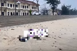 Nghệ An: Phát hiện thi thể người đàn ông trôi dạt vào bờ biển TP Vinh