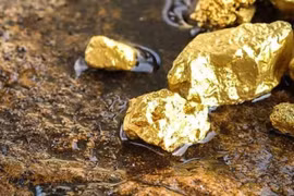 Phát hiện 40 mỏ vàng với trữ lượng gần 30 tấn ở Tây Bắc