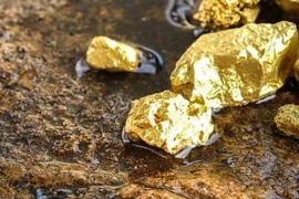 Phát hiện 40 mỏ vàng với trữ lượng gần 30 tấn ở Tây Bắc