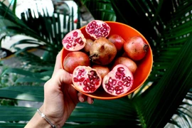 Những lý do nên trồng cây lựu trong vườn nhà