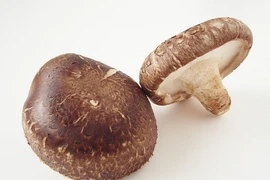 Ăn nhiều nấm chữa được ung thư