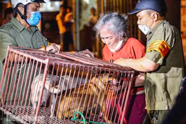 Cận cảnh tổ đội bắt chó thả rông ở Hà Nội